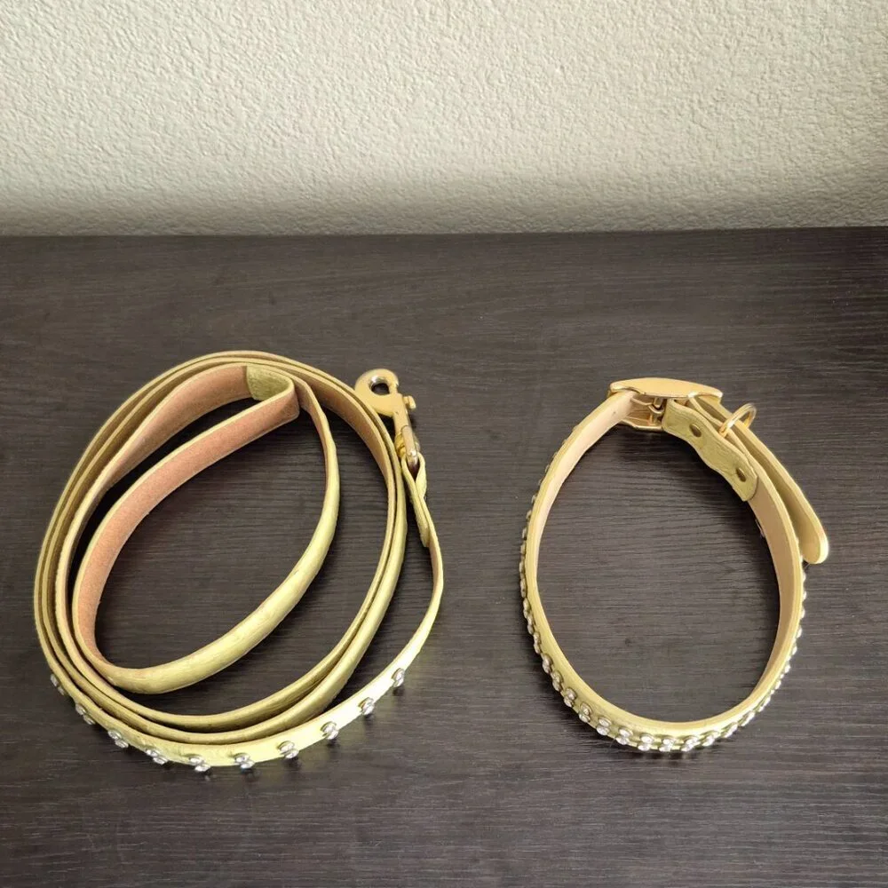 Lady Churchwell's Leather Dog Collar and Leash